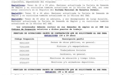 Programa de fomento de empleo industrial y medidas de inserción laboral de Andalucía