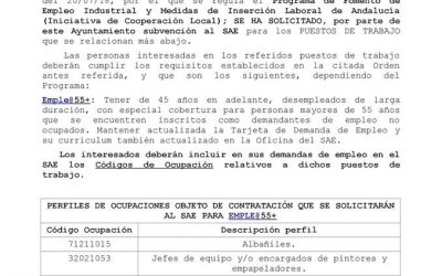 Programa de fomento de empleo industrial y medidas de inserción laboral de Andalucia