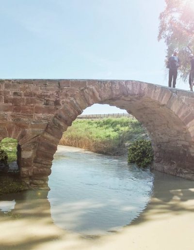 El Puente Romano está enclavado en un paraje natural entre flora ribereña y a la sombra de eucaliptos