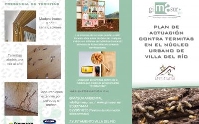 Jornadas Informativas sobre el Plan de Actuación contra termitas