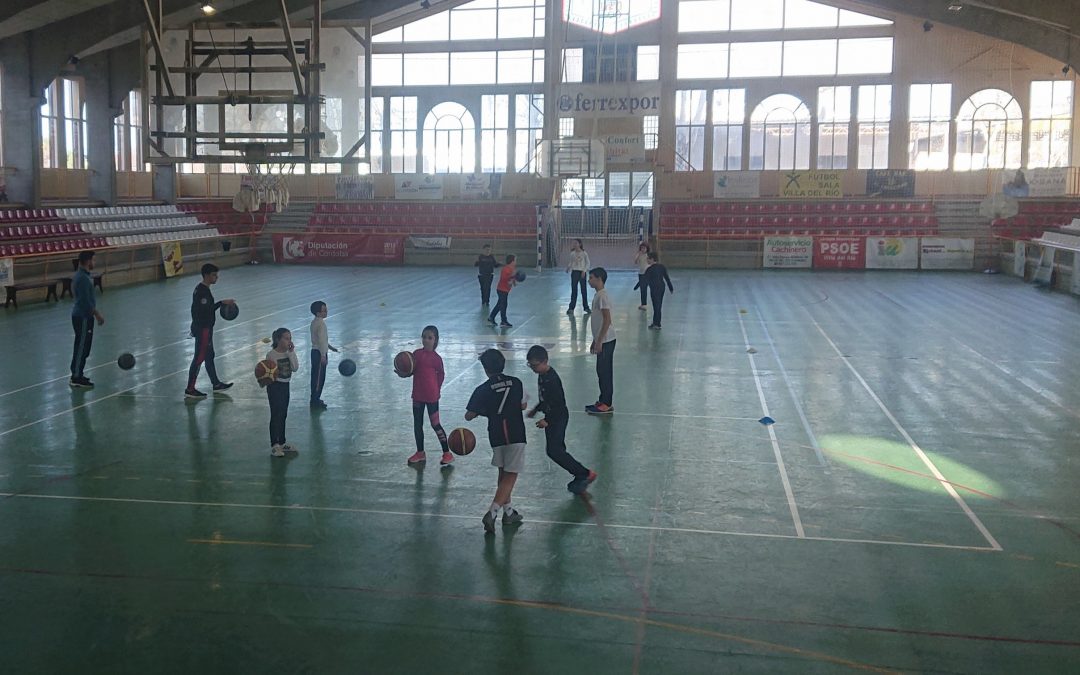 Escuela Municipal de Baloncesto 1