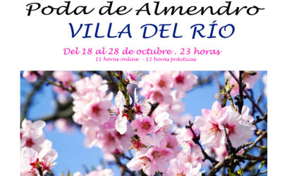 CURSO DE PODA DE ALMENDRO