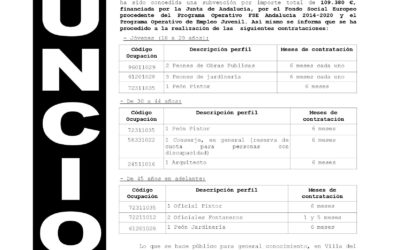 INICIATIVA PARA LA ACTIVACIÓN, IMPULSO Y RECUPERACIÓN DEL EMPLEO (INICIATIVA AIRE)