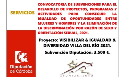 CONVOCATORIA DE SUBVENCIONES PARA EL DESAROLLO DE PROYECTOS, PROGRAMAS Y ACTIVIDADES PARA CONSEGUIR LA IGUALDAD DE OPORTUNIDADES ENTRE MUJERES Y HOMBRES Y LA ELIMINACIÓN DE LA DISCRIMINACIÓN POR RAZÓN DE SEXO Y ORIENTACIÓN SEXUAL, 2021.