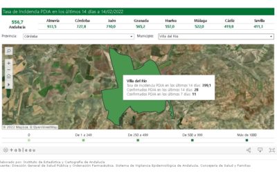 SEGUIMIENTO DE LA PANDEMIA COVID-19 EN VILLA DEL RÍO