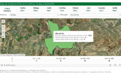 SEGUIMIENTO DE LA PANDEMIA COVID-19 EN VILLA DEL RÍO