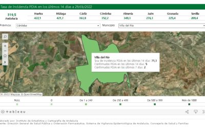 SEGUIMIENTO DE LA PANDEMIA COVID-19 EN VILLA DEL RÍO 