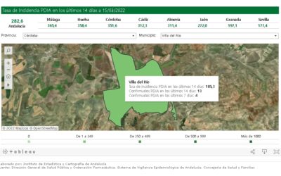 SEGUIMIENTO DE LA PANDEMIA COVID-19 EN VILLA DEL RÍO