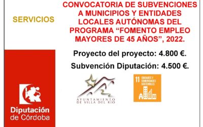 CONVOCATORIA DE SUBVENCIONES A MUNICIPIOS Y ENTIDADES LOCALES AUTÓNOMAS DEL PROGRAMA “FOMENTO EMPLEO MAYORES DE 45 AÑOS”, 2022.