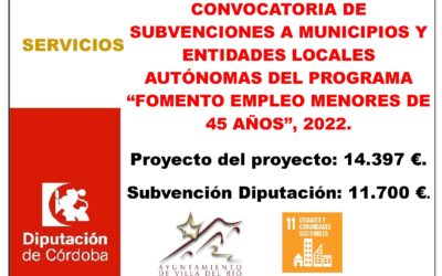 CONVOCATORIA DE SUBVENCIONES A MUNICIPIOS Y ENTIDADES LOCALES AUTÓNOMAS DEL PROGRAMA “FOMENTO EMPLEO MENORES DE 45 AÑOS”, 2022.