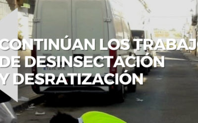 CONTINÚAN LOS TRABAJOS DE DESINSECTACIÓN Y DESRATIZACIÓN