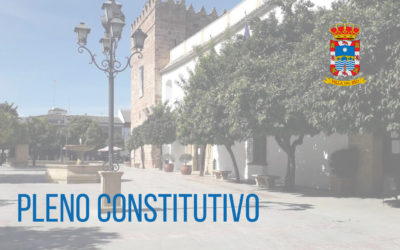 SESIÓN CONSTITUTIVA