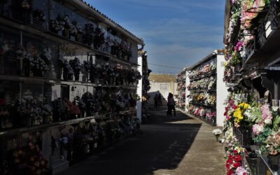 HORARIO ININTERRUMPIDO | CEMENTERIO MUNICIPAL «VIRGEN DE LA ESTRELLA»