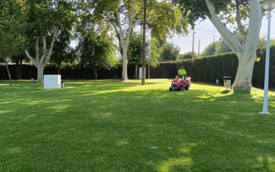 MEDIO AMBIENTE | LABORES DE JARDINERÍA EN LA PISCINA MUNICIPAL DE VERANO