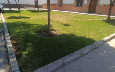 MEDIO AMBIENTE | LABORES DE JARDINERÍA Y LIMPIEZA EN EL PARQUE ANEXO A LA CALLE ALMERÍA E INMEDIACIONES DEL SANTUARIO