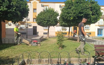 MEDIO AMBIENTE | LABORES DE JARDINERÍA EN LA PLAZA DE LA ONCE Y EN LA PLAZA «ÁRBOL DEL AMOR»