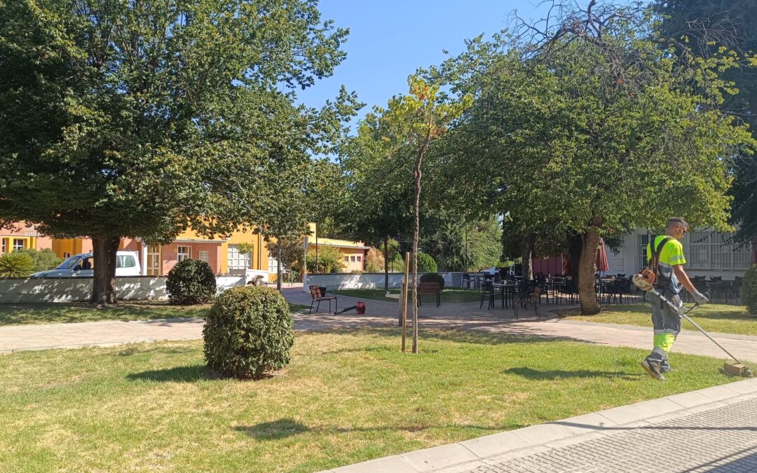URBANISMO Y MEDIO AMBIENTE | LABORES DE LIMPIEZA Y JARDINERÍA EN DIFERENTES ZONAS DE LA LOCALIDAD