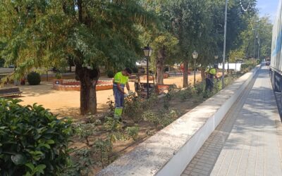 MEDIO AMBIENTE | LABORES DE JARDINERÍA EN LOS ARRIATES DEL JARDÍN DEL LIRIO