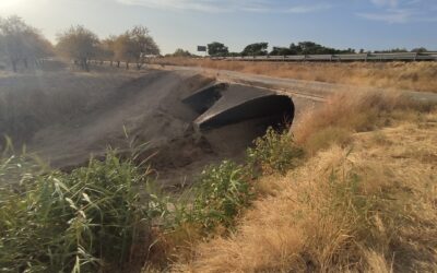 URBANISMO | TRABAJOS DE LIMPIEZA EN EL ARROYO CAÑETEJO