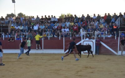 SUELTA DE VAQUILLAS | FERIA DE VILLA DEL RÍO 2024