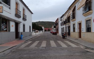 URBANISMO Y MEDIO AMBIENTE | ÚLTIMAS ACTUACIONES REALIZADAS EN MATERIA DE LIMPIEZA Y JARDINERÍA