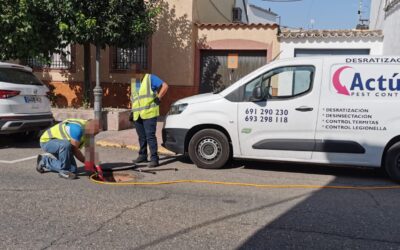 URBANISMO Y MEDIO AMBIENTE | CONTINÚAN LOS TRABAJOS DE DESRATIZACIÓN, DESINSECTACIÓN Y DESINFECCIÓN