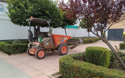 MEDIO AMBIENTE | REMOZAMIENTO DE LAS ZONAS VERDES DE PLAZAS DE LA CALLE ZARAGOZA, CALLE ALMERÍA Y PLAZA DE ESPAÑA