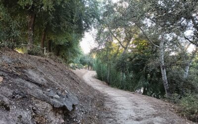 MEDIO AMBIENTE | LABORES DE DESBROCE Y LIMPIEZA DEL TRAMO DEL SENDERO DE LAS TRES CULTURAS ANEXO A LA RIBERA DE SAN ISIDRO LABRADOR