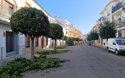 MEDIO AMBIENTE | CONTINUACIÓN CON LA PODA DE NARANJOS DE LA CALLE FUENSANTA Y REMOZAMIENTO DE LAS ZONAS VERDES DEL PARQUE «MIRADOR DE LAS ACEÑAS»