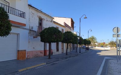 MEDIO AMBIENTE | CONTINUACIÓN CON LA PODA DE NARANJOS EN LA AVENIDA ANDALUCÍA