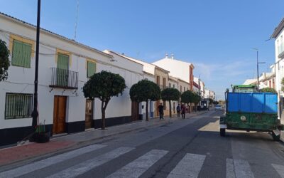 MEDIO AMBIENTE | CONTINUACIÓN CON LA PODA DE NARANJOS EN LA AVENIDA ANDALUCÍA Y PROHIBICIÓN DE ESTACIONAMIENTO EN LA CALLE ORABUENA