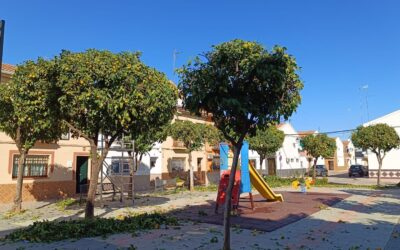 MEDIO AMBIENTE | CONTINUACIÓN CON LA PODA DE NARANJOS EN LA PLAZA «CANTAOR JOAQUÍN GARRIDO ·  PROHIBICIÓN DE ESTACIONAMIENTO EN LUGARES CERCANOS A NARANJOS EN CALLES CÓRDOBA Y ALMERÍA