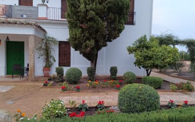 MEDIO AMBIENTE | REMOZAMIENTO DE LOS JARDINES DE LA CASA MUSEO DEL PINTOR PEDRO BUENO