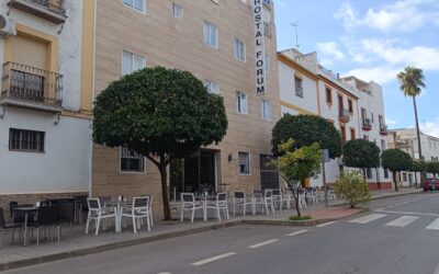 MEDIO AMBIENTE | CONTINUACIÓN CON LA PODA DE NARANJOS EN LA AVENIDA «RIBERA DE SAN ISIDRO LABRADOR» ·  PROHIBICIÓN DE ESTACIONAMIENTO EN LUGARES CERCANOS A NARANJOS EN CALLES CABALLEROS Y ANTONIO MACHADO