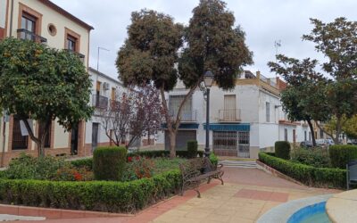 MEDIO AMBIENTE | CONTINUACIÓN CON LA PODA DE NARANJOS EN LA CALLES ANTONIO MACHADO Y CABALLEROS