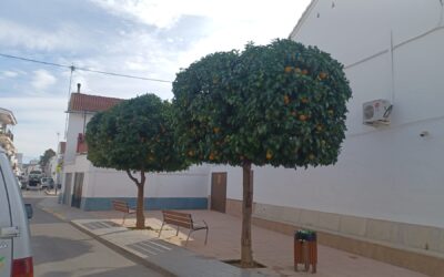 MEDIO AMBIENTE | CONTINUACIÓN CON EL  REMOZAMIENTO DE LAS ZONAS VERDES DE PLAZAS DE LAS CALLES ZARAGOZA Y MÁLAGA