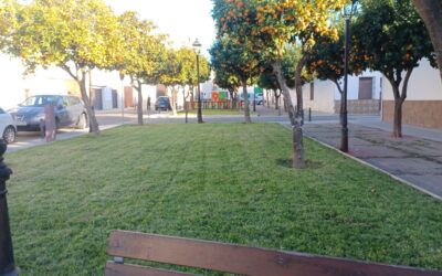 MEDIO AMBIENTE | CORTE DEL CÉSPED DEL PARQUE DE LA PÉRGOLA DE SAN CARLOS