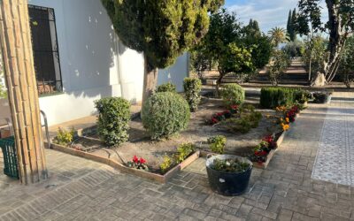 MEDIO AMBIENTE | REMOZAMIENTO DE LOS JARDINES DE LA CASA MUSEO DEL PINTOR PEDRO BUENO