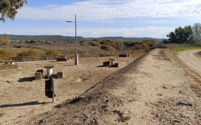 URBANISMO Y MEDIO AMBIENTE | TRABAJOS DE DESBROCE Y LIMPIEZA DEL ENTORNO DEL PUENTE ROMANO DE VILLA DEL RÍO (BIC)