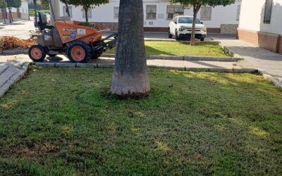 MEDIO AMBIENTE | LABORES DE JARDINERÍA Y LIMPIEZA EN EL PARQUE ANEXO A LAS CALLES ALMERÍA y MÁLAGA