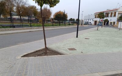 URBANISMO Y MEDIO AMBIENTE | LIMPIEZA DE ALCORQUES SITUADOS EN LAS BARRIADAS DE SAN CARLOS Y DE JESÚS