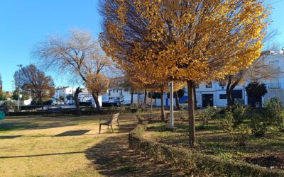 MEDIO AMBIENTE | RETIRADA DE HOJAS EN LA VÍA PÚBLICA Y ZONAS VERDES