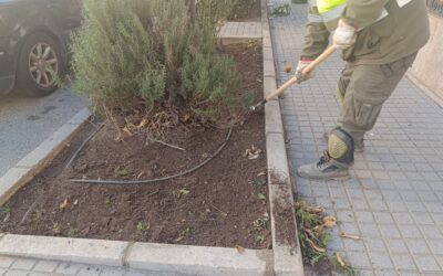 URBANISMO Y MEDIO AMBIENTE | LIMPIEZA DE ALCORQUES SITUADOS EN LA AVENIDA ANDALUCÍA Y CARRETERA BUJALANCE