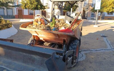 MEDIO AMBIENTE | RETIRADA DE HOJAS EN LA VÍA PÚBLICA Y ZONAS VERDES