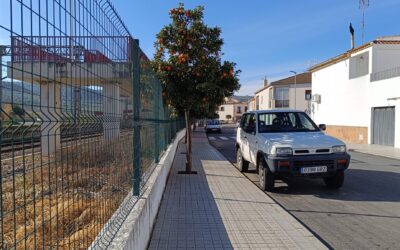 URBANISMO Y MEDIO AMBIENTE | LIMPIEZA DE ALCORQUES SITUADOS EN LAS CALLES LOPERA Y LAS CARNICERAS