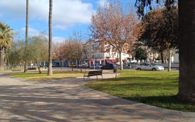 MEDIO AMBIENTE | RETIRADA DE HOJAS EN LA VÍA PÚBLICA Y ZONAS VERDES