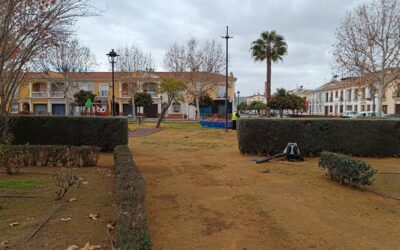 MEDIO AMBIENTE | RETIRADA DE HOJAS EN LA VÍA PÚBLICA Y ZONAS VERDES