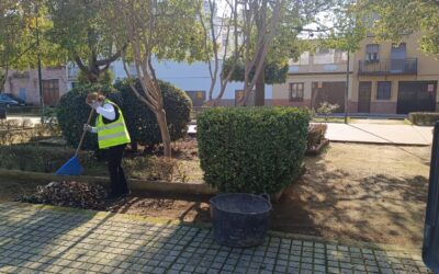 MEDIO AMBIENTE | LABORES DE JARDINERÍA EN LAS ZONAS VERDES ANEXAS AL CEMENTERIO Y EN LOS JARDINES DE LA PAZ