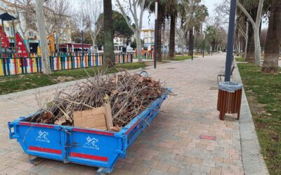 MEDIO AMBIENTE Y URBANISMO | RETIRADA DE HOJAS, LIMPIEZA VIARIA Y LABORES DE PODA DE LA ARBOLEDA