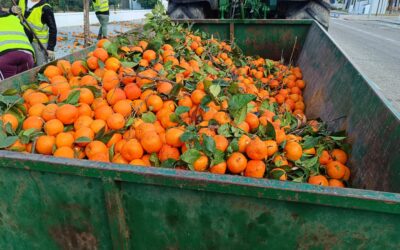 MEDIO AMBIENTE | COMIENZA LA RECOGIDA DE NARANJA EN LAS CALLES Y PLAZAS DE VILLA DEL RÍO